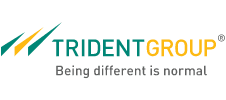 Trident Group